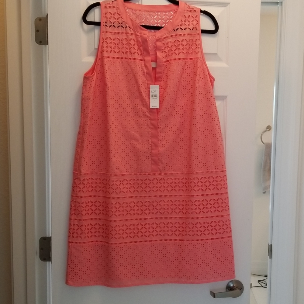 NWT Ann Taylor LOFT dress